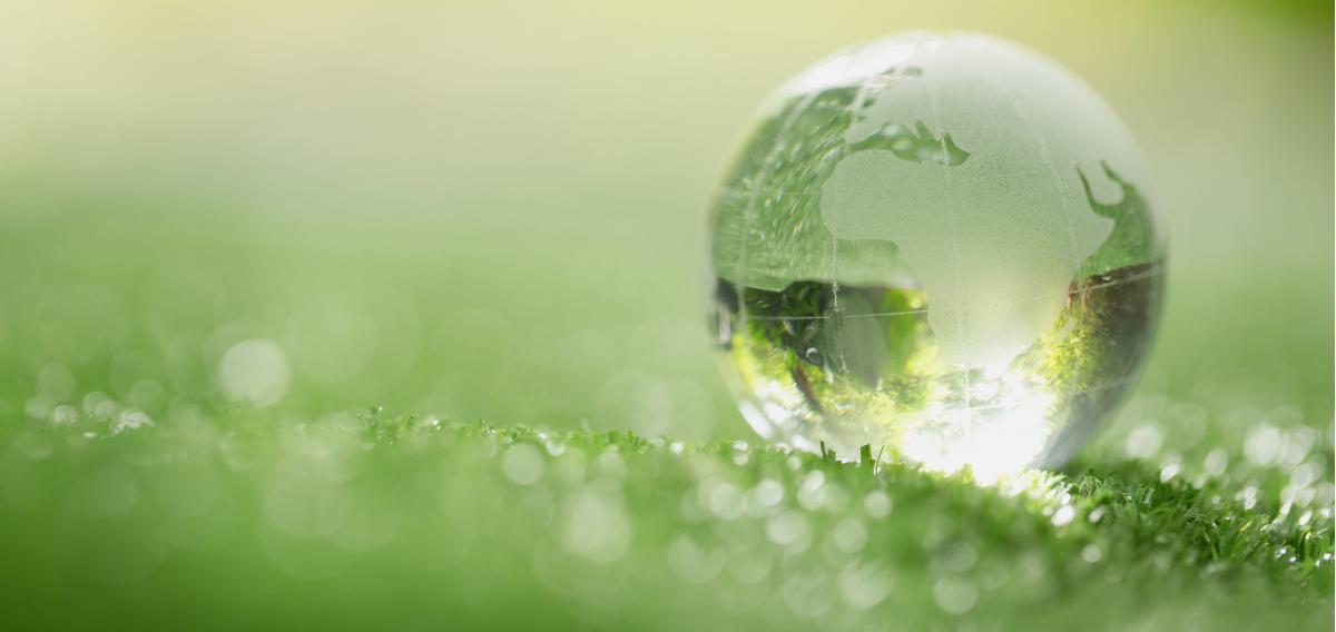 Environmental & Sustainability Policy Environmental & Sustainability Policy